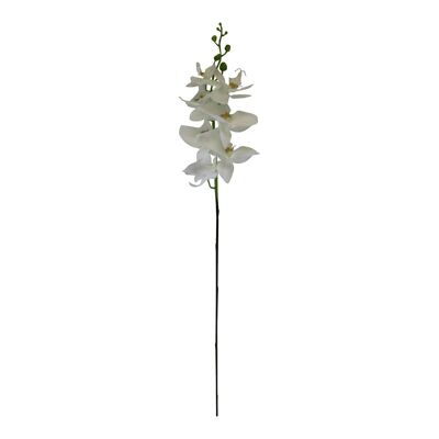 Einzelner Orchideen-Spray, weiße Blüten, 85cm