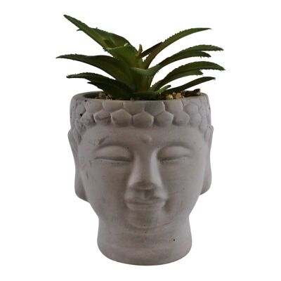 Piccola succulenta finta in vaso con testa di Buddha
