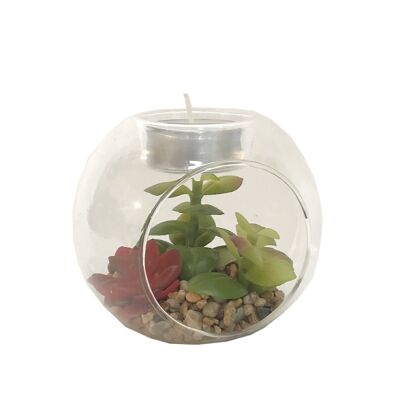 Succulente en terrarium en verre avec porte-bougie chauffe-plat