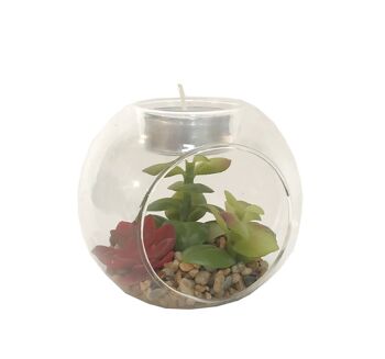 Succulente en terrarium en verre avec porte-bougie chauffe-plat 1