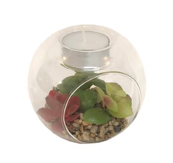 Succulente en terrarium en verre avec porte-bougie chauffe-plat 2