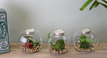 Succulente en terrarium en verre avec porte-bougie chauffe-plat 4