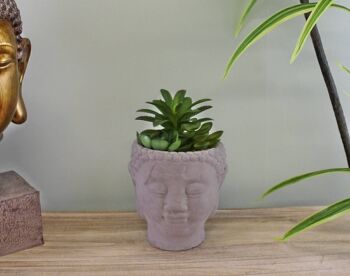 Trio de fausses plantes succulentes dans un pot en ciment à tête de bouddha 3