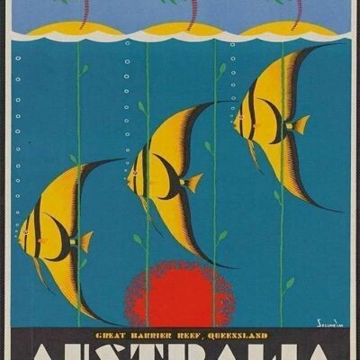 Plaque en Métal Vintage - Publicité Rétro - Australie Poisson