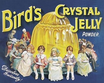 Plaque en métal vintage - Publicité rétro - Oiseaux Crystal Jelly Powder 1