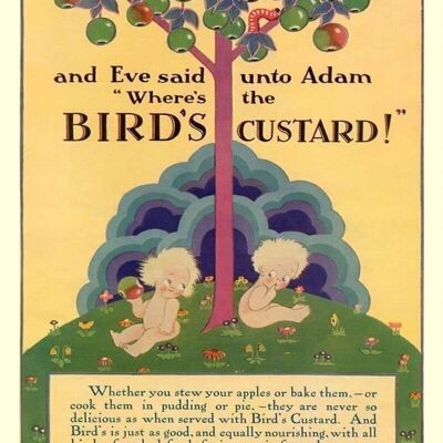 Vintage Blechschild – Retro-Werbung – Vögel Custard, Adam & Eve