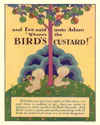 Plaque en métal vintage - Publicité rétro - Birds Custard, Adam & Eve 1