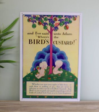 Plaque en métal vintage - Publicité rétro - Birds Custard, Adam & Eve 2