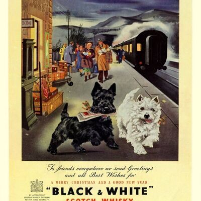 Plaque en métal vintage - Publicité rétro - Whisky écossais noir et blanc