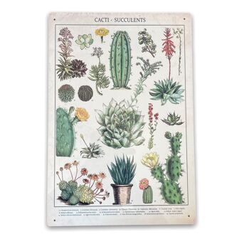Plaque en métal vintage - Photo d'identification rétro cactus et plantes grasses 1