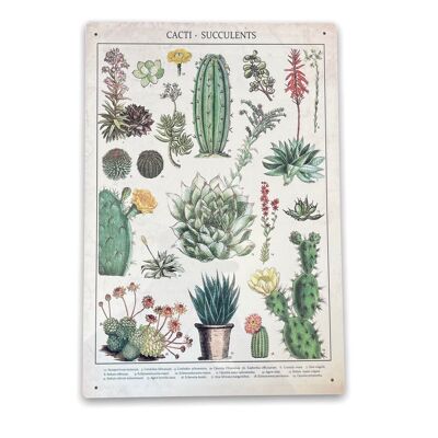 Plaque en métal vintage - Photo d'identification rétro cactus et plantes grasses