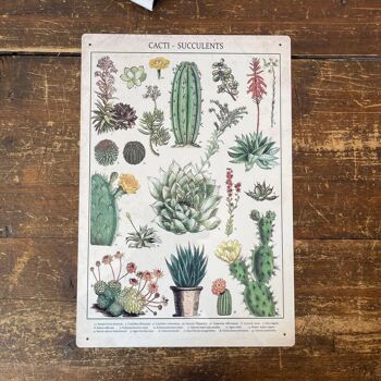 Plaque en métal vintage - Photo d'identification rétro cactus et plantes grasses 2