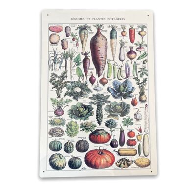 Letrero de metal vintage - Letrero de verduras de cocina botánica vintage