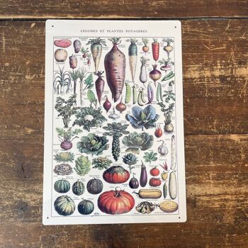 Plaque Vintage en Métal - Plaque Vintage Botanical Kitchen Vegetables 2