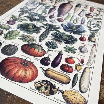 Plaque Vintage en Métal - Plaque Vintage Botanical Kitchen Vegetables 3