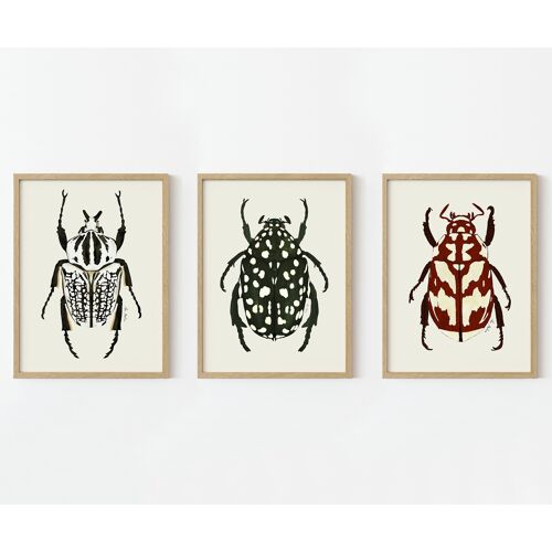Láminas artísticas de "insectos" paquete de 3 diferentes