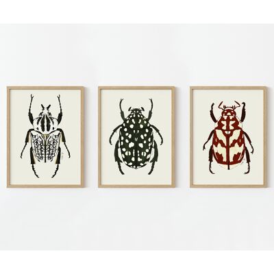 Kunstdrucke "Insekten" 3er Pack verschieden