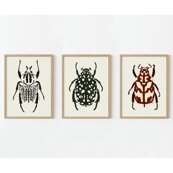 Tirages d'art "insectes" pack de 3 différents 1