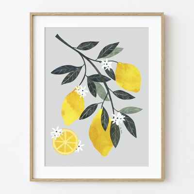 Stampa artistica "Ramo di limone" - varie dimensioni