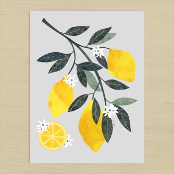 Tirage d'art "Branche de Citron" - différentes tailles 2