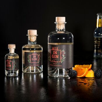 ALL IN GIN - 200ml avec mûre, abricot et orange Black Forest Dry Gin 2