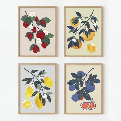4 Láminas artísticas "frutas" - 14,8x21 cm (A5)