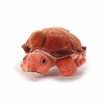 Schildkröte braun 27 cm