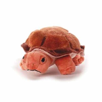 Tortue marron 27 cm
