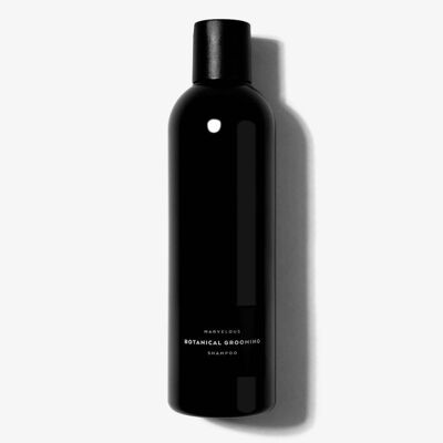 DAILY SHAMPOO 250ML