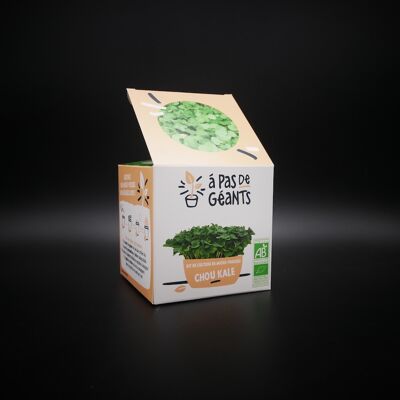 Kit de culture de micro pousses de Chou Kale Bio
