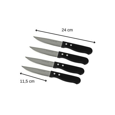 Set of 4 Nirosta steak knives