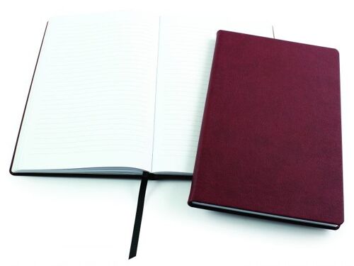 BioD Biodegradable A5 Notebook - Red