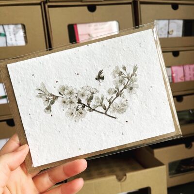 White floral plantable card /