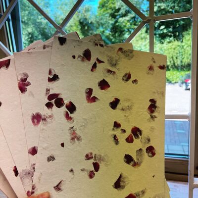Rose petal paper 200gsm pack of 5 sheets /