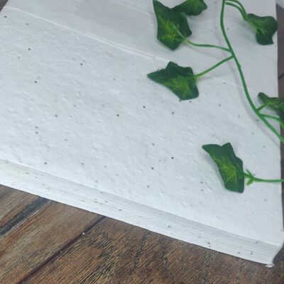 Basil seed paper A4 sheet 200gsm Pack of 5 sheets /
