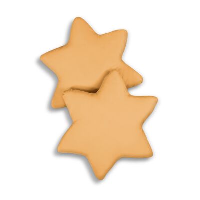 Set of 2 mustard star cushions