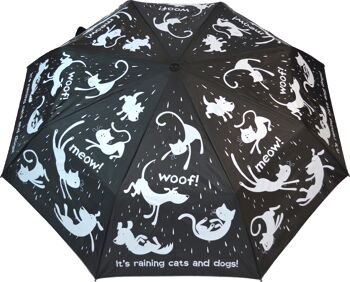 Parapluie pliant pour chats et chiens qui pleut tous les jours - EDFRCD 2