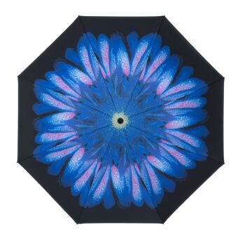 Parapluie marguerite bleu à l'envers - EDIOBD 2