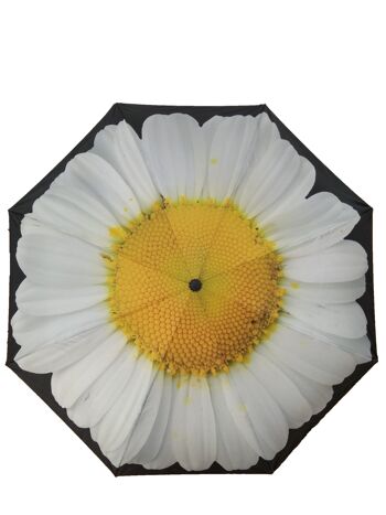 Parapluie Inside Out Everyday White Daisy - EDIOWD 1