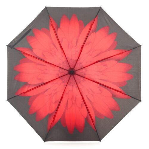 Everyday Reverse Folding Umbrella Red Daisy - EDRFFRD