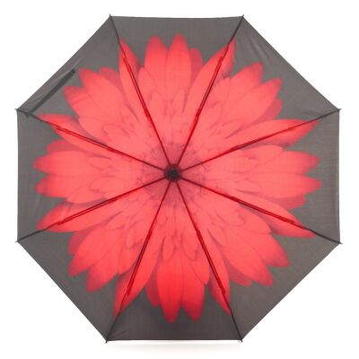 Parapluie pliant inversé Everyday Daisy rouge - EDRFFRD