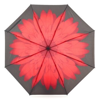 Parapluie pliant inversé Everyday Daisy rouge - EDRFFRD 1