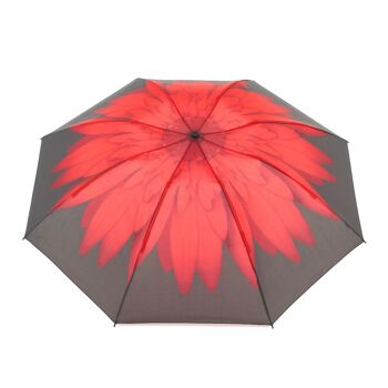 Parapluie pliant inversé Everyday Daisy rouge - EDRFFRD 5