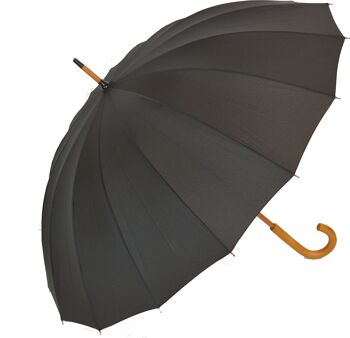 Parapluie manuel pour homme (16 baleines) - EDSM169 2