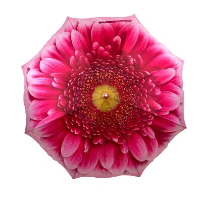 Ombrello con bastone da passeggio Gerbera Daisy classico Storm King - SKCFGD