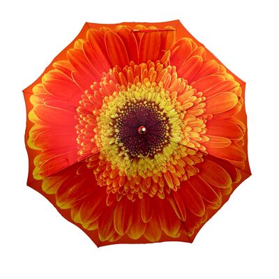 Storm King Classic Orange Daisy Walking Stick Umbrella - SKCFOD