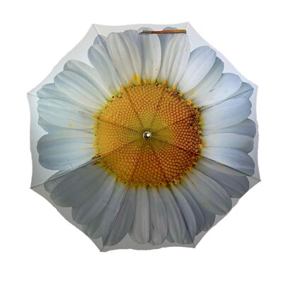 Storm King Classic White Daisy Walking Stick Umbrella - SKCFWD