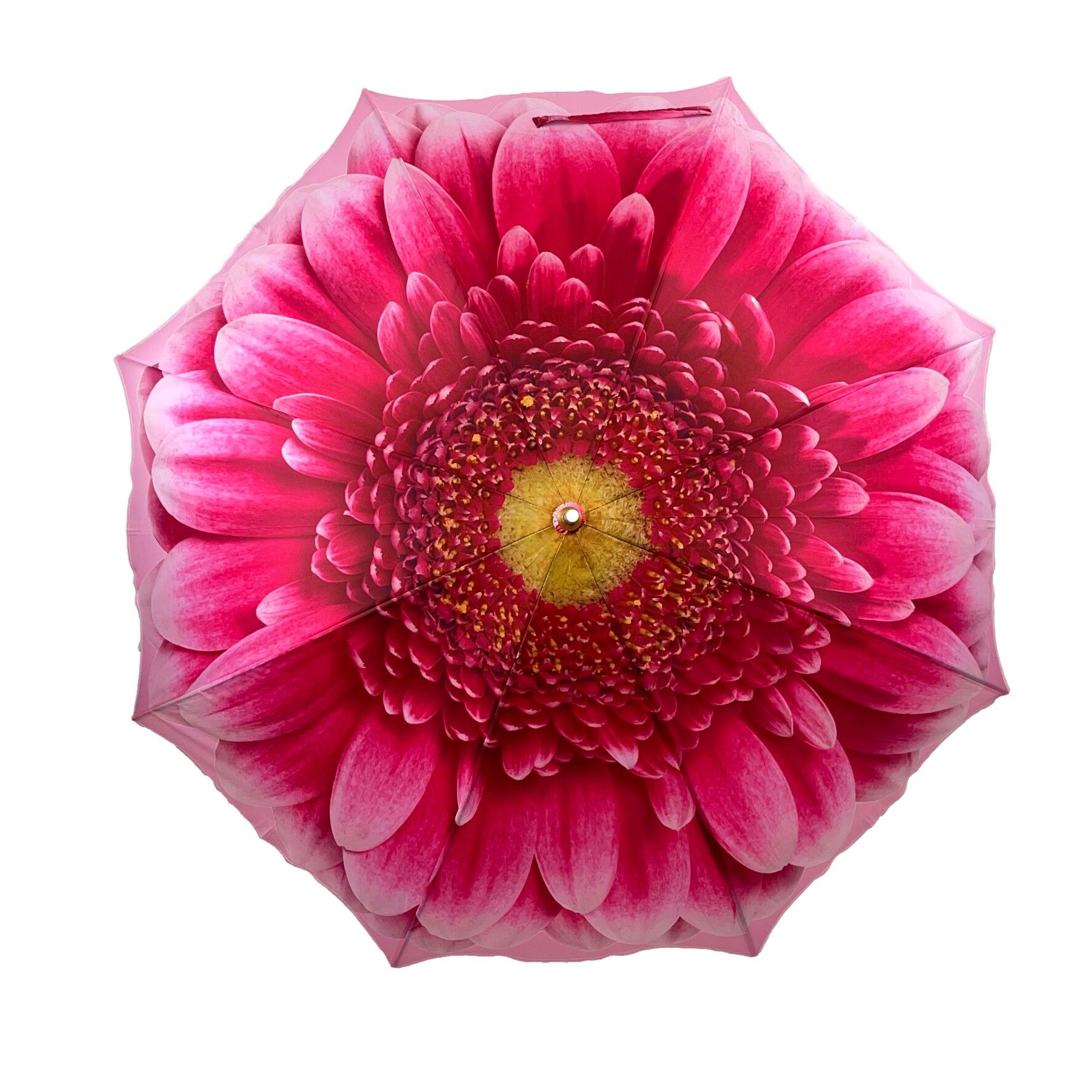Ombrello pieghevole StormKing Gerbera Daisy in confezione regalo - SKFFGD