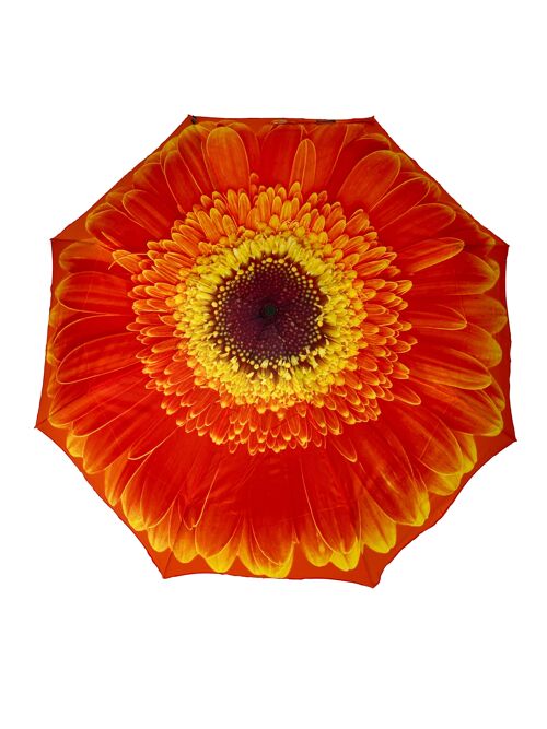 StormKing Orange Daisy Folding Umbrella Gift Boxed - SKFFOD