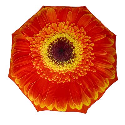 Ombrello pieghevole StormKing Orange Daisy in confezione regalo - SKFFOD
